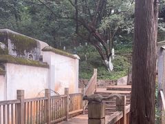 -昆明动物园