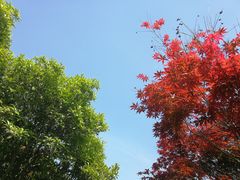 -洨河生态公园