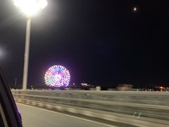 -伊犁河景区