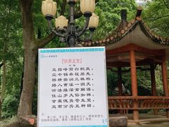 -灵光寺