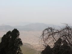 -抱犊崮国家森林公园