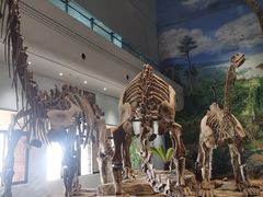 -自贡恐龙博物馆