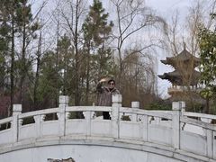 -武汉园博园(武汉自然博物馆)
