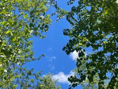 -玉渡山自然风景区