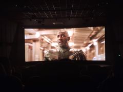 -奥斯卡升龙国际影城(RealD Cinema)