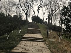 -伯先公园