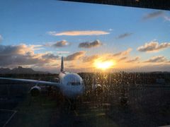 -西沃古尔·拉姆古兰爵士国际机场