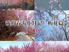 -白塘生态植物园
