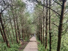 -东白山