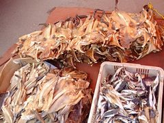 -青岛沙子口国家中心渔港