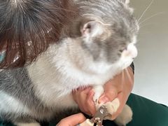 -瑞派宠物医院·犬猫全科·猫友好(宾水西道店)