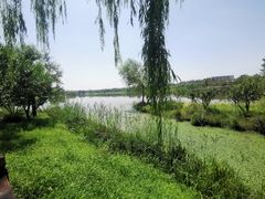 -东郊湿地公园