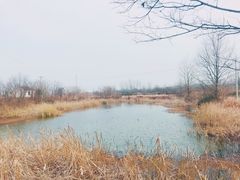 -南京金牛湖风景区