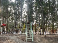 -空港花田景区