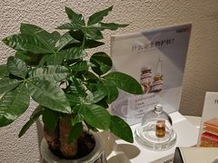 -莲花国际广场