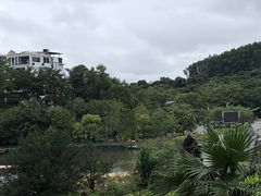 -大屏嶂森林公园