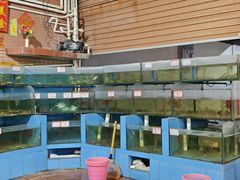 -胜海大排档·海鲜·黄鳝饭(十年老店)