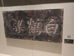 -白鹤梁水下博物馆