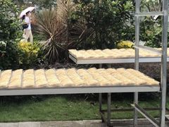 -西关竹园(荔枝湾店)