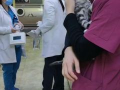 -美联众合动物医院·24h转诊中心