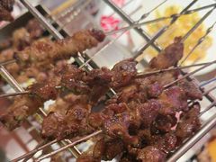 -鼎原力量东北吊炉烧烤(临河街店)