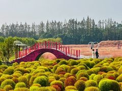 -嘉北郊野公园