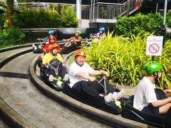 -圣淘沙天际线斜坡滑车