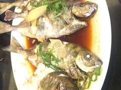 象耳鱼清蒸-大厝宅海鲜馆