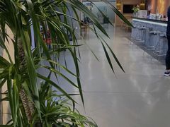 -天行健身＆天行拳馆跆拳道·格斗TXGYM