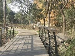 -尚贤河湿地