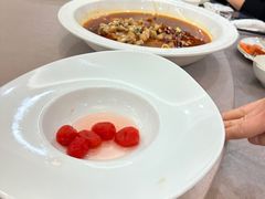 -丁老爷子苏香圆