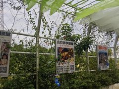-长洲岛都市农业公园