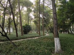 -塔子山公园