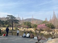 -习家池
