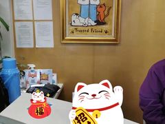 -爱侣·安琦尔宠物医院·中兽医针灸·心内科·狂犬免疫点(宝山区院)