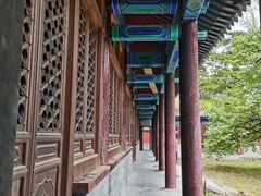 -阳台山自然风景区