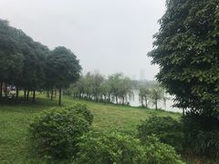 -飞来湖湿地公园