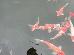 -石峰岩寺