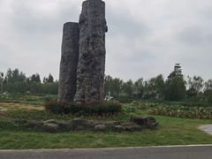 -池杉湖湿地公园