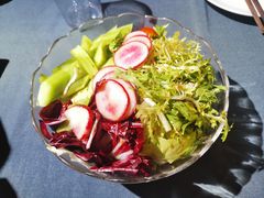 田园大拌菜-伊带伊路新疆美食府(呼家楼店)