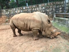 -昆明动物园