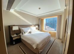 -巍阁高端月子会所