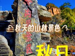 -大岭沟猕猴桃谷风景区