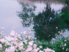 -良渚古城遗址公园