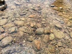 -二沙岛艺术公园
