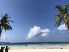 -Cha Cha's Beach Cafe