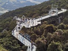 -亚龙湾热带天堂森林公园
