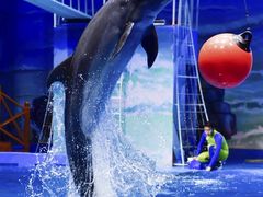 -华夏文旅西安度假区