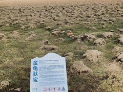 -芦芽山旅游度假区