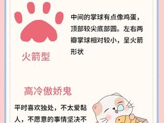 -唐小姐の私宠·宠物洗护美容·撸猫馆·购宠(周浦万达旗舰店)